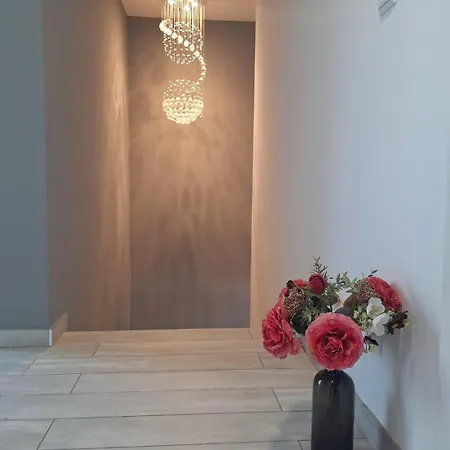 Just Room Rent Akh University-2
